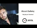 Download Lagu Murat Dalkılıç - Neyleyim İstanbul'u