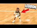 I Made LeBron TINY