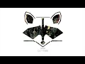 Rakoon - Out There