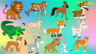 أسماء الحيوانات للأطفال وأصواتها 3 أصوات الحيوانات و الطيور Animal Names And Sounds 