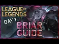 Day 1 Briar Tips Tricks and Analysis