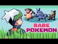 Understanding the Safari Zone in Pokemon Emerald