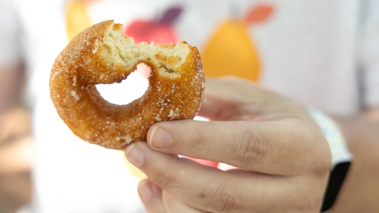 Visit Rainbow Orchards for Apple Cider Donuts + Chill California Vibes