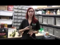 Basic Iguana Care