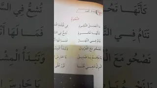 صف اول انشوده النجوم  عربي دندنها