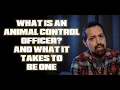 What Is An Animal Control Officer