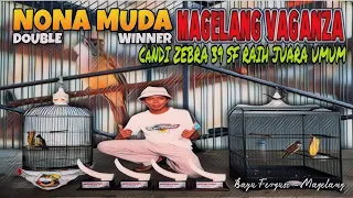 Download MAGELANG VAGANZA - Cucak Jenggot NONA MUDA Double Winner Hantar Candi Zebra 39 SF Raih Juara Umum MP3