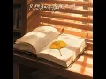 只想和你虚度光阴
