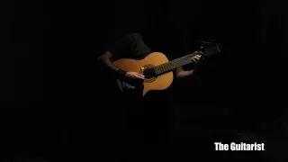 تملي معاك عمرو دياب غيتار Amro Diab  تملي معاك عمرو دياب غيتار Amro Diab
