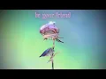 Cheat Codes, Enisa, Edward Maya - Be Your Friend (Official Visualizer)