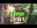 Alok, The Chainsmokers & Mae Stephens – Jungle (ORSON REMIX) 2023