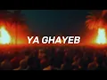 Fadel Chaker - Ya Ghayeb (Waxel Arabic Afro House Remix)🐪