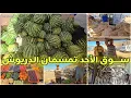 Download Lagu 🚨سوق الأحد تمسمان وجولة رفقة الأصدقاء لتعرف أجواء الصيف والرواج 🔥