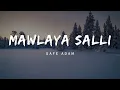 Download Lagu Mawlaya Salli - Safe Adam