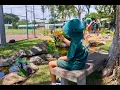 Nature Play Ecosystem Pond for Schools - Kallangur State School Outdoor Learning Project