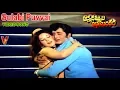 Download Lagu గులాబీ పువ్వై నవ్వాలి వయసు | వీడియో సాంగ్ | అన్నదమ్ముల అనుబంధం | రామ రావు | బాలకృష్ణ | V9 వీడియోస్