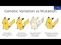 Genomics - Program Overview and hands-on illustrations for DNA Analysis with alignment and mapping