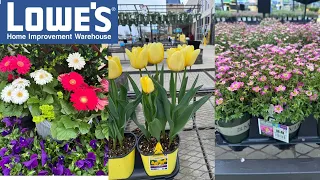 LOWES BEST NEW PLANTS CLEARANCE ARRIVALS FOR SPRING HOW TO MAKE YOUR GARDEN BEAUTIFUL