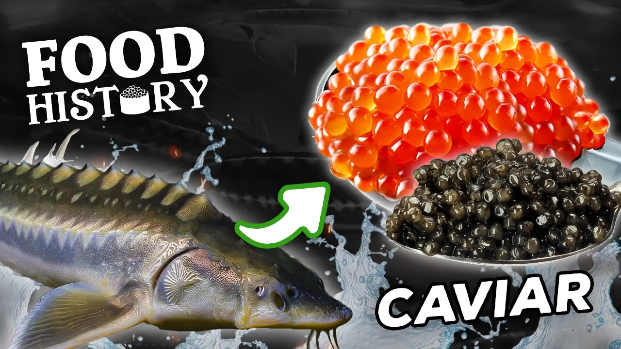 The Opulent History of Caviar   Tastemade