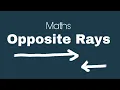 What are Opposite Rays Geometry Maths