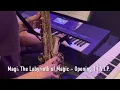 V.I.P. - Magi: The Labyrinth of Magic - Sax Cover