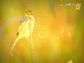 Download Lagu Nguoi ta khong yeu em dau ( nhac tre)