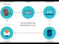 INFORMATION PROCESSING CYCLE