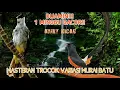 master trucukan murai batu