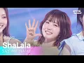 Download Lagu SAY MY NAME - ShaLala | SBS 250330 방송