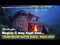 Download Lagu MENGINAP DI SAUNG TENGAH HUTAN, GELAP TANPA LISTRIK, BANYAK SUARA - SUARA ANEH MENJELANG MALAM..