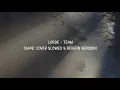 Download Lagu LORDE - TEAM | (SAPE' COVER) Slowed \u0026 Reverb (🎧)