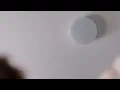 The Ceiling | Official Trailer