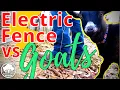 How to install Electric Wire Fence Containing livestock with TSC Fencing
