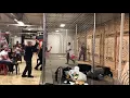 Axe Whooping multiple people throwing 1