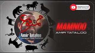                         امیرتتلو   ممنوع   دندنها