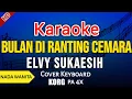 Download Lagu BULAN DI RANTING CEMARA - Elvy Sukaesih | KARAOKE HD