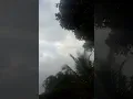 Burag kaulanun