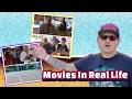 8 Famous Movie Locations In L A You Can Actually Visit
