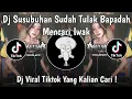 Lagu DJ SUSUBUHAN SUDAH TULAK BAPADAH MENCARI IWAK | DJ MAWARUNG PLAT KT VIRAL TIKTOK TERBARU 2025 !