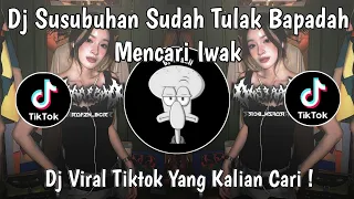 dj susubuhan sudah tulak bapadah mencari iwak dj mawarung plat kt viral tiktok terbaru 2025 