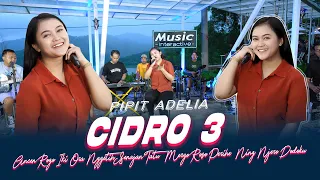 Download Pipit Adelia - Cidro 3 (Official Music Live) Ancen Rogo Iki Ora Nggetih Senajan Tatu MP3