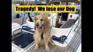 Ep 41 Tragedy! We Lose Our Dog (Sailing Talisman)