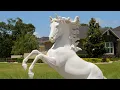 Ocala Horse Properties Showcase
