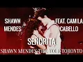 Download Lagu Shawn Mendes feat. Camila Cabello - Señorita (Live from the Shawn Mendes The Tour Toronto)