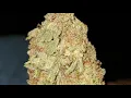 CANDYLAND STRAIN WAKE AND BAKE STYLE