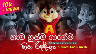 hama husma ganema chipmunk version slowed and reverb visha recodz