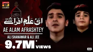 ae alam afrashtey ali shanawar u0026 ali jee 2013 14 noha