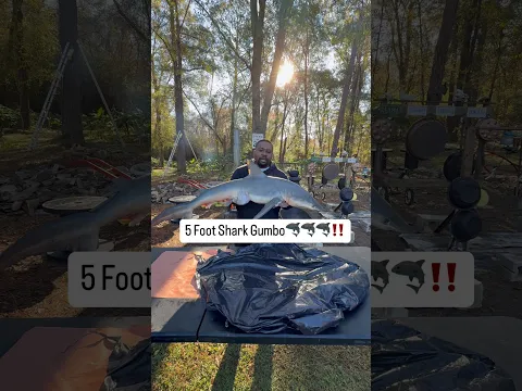 When it’s cold outside, we eat shark gumbo‼️🤠 #explore #foryou #fyp #tiktok #shorts #shortvideo