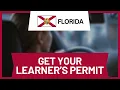 How to Get Learner s Permit in Florida Step-by-Step
