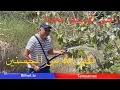 Download Lagu الحمد لله على نعمة الماء / فرحة كبيرة لا توصف / تقبل الله من المحسنين